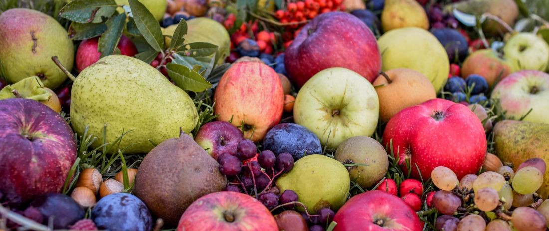 Ovocna_skolka_Bojkovice_ovoce_1